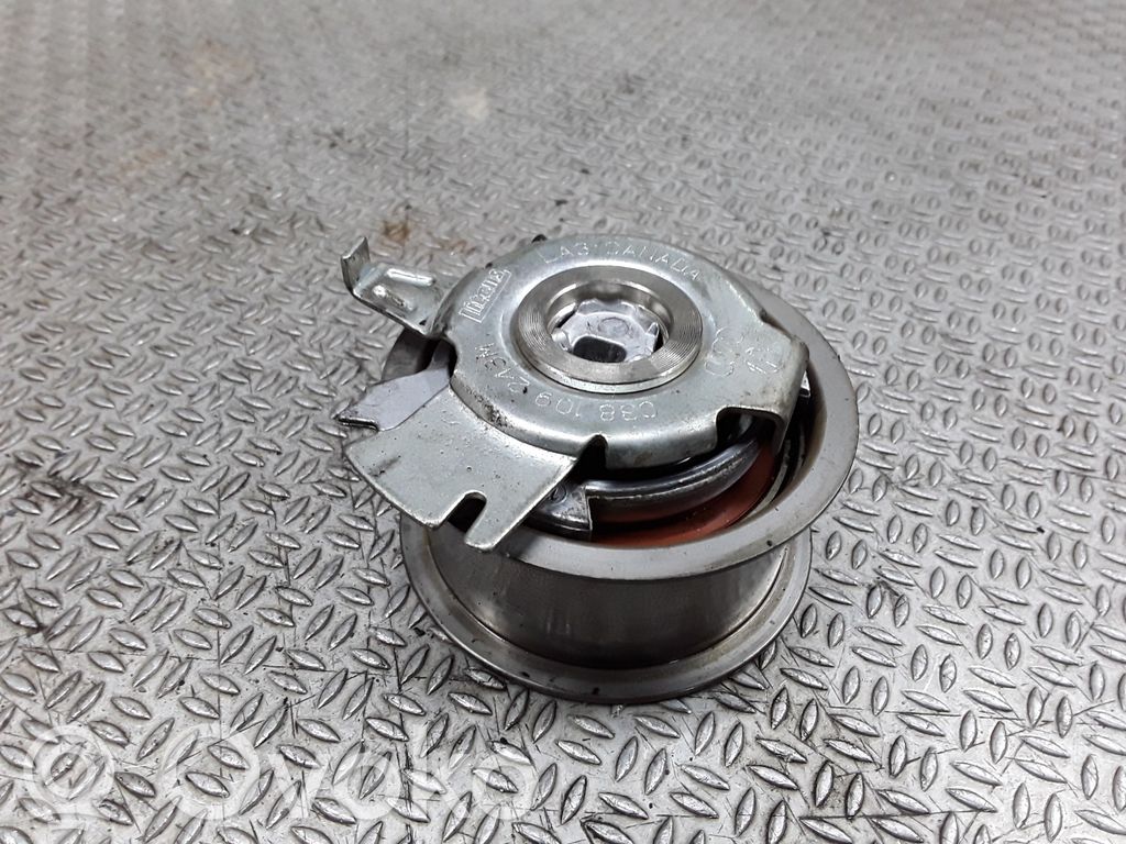 Audi A4 S4 B7 8E 8H Napinacz paska / łańcucha rozrządu 