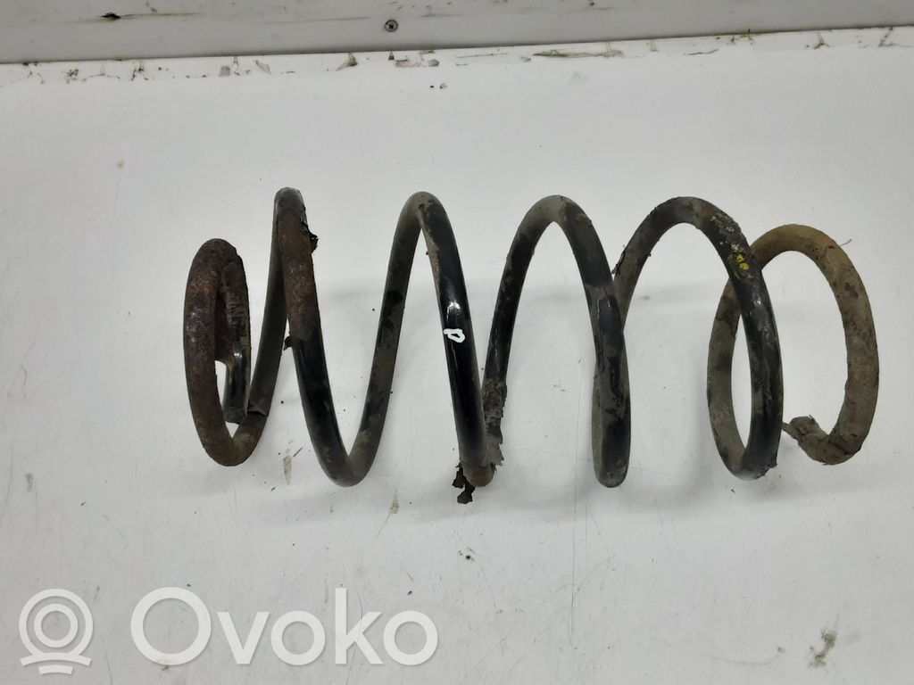Front coil spring