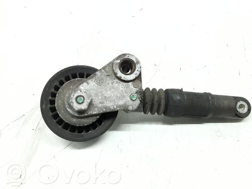 Volkswagen PASSAT B5.5 Napinacz paska alternatora 