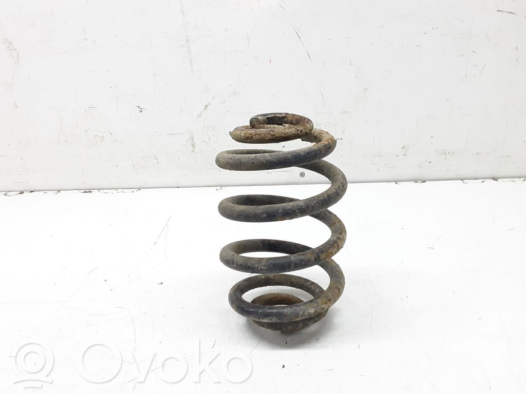 Rear coil spring
