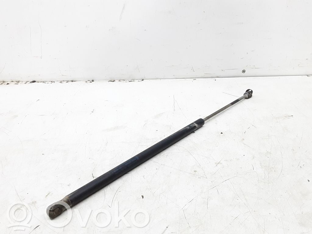 Tailgate/trunk strut/damper   2S51B406A10AD