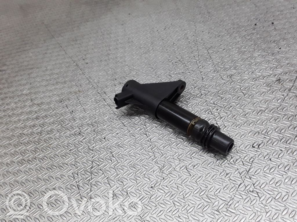 High voltage ignition coil   2527329