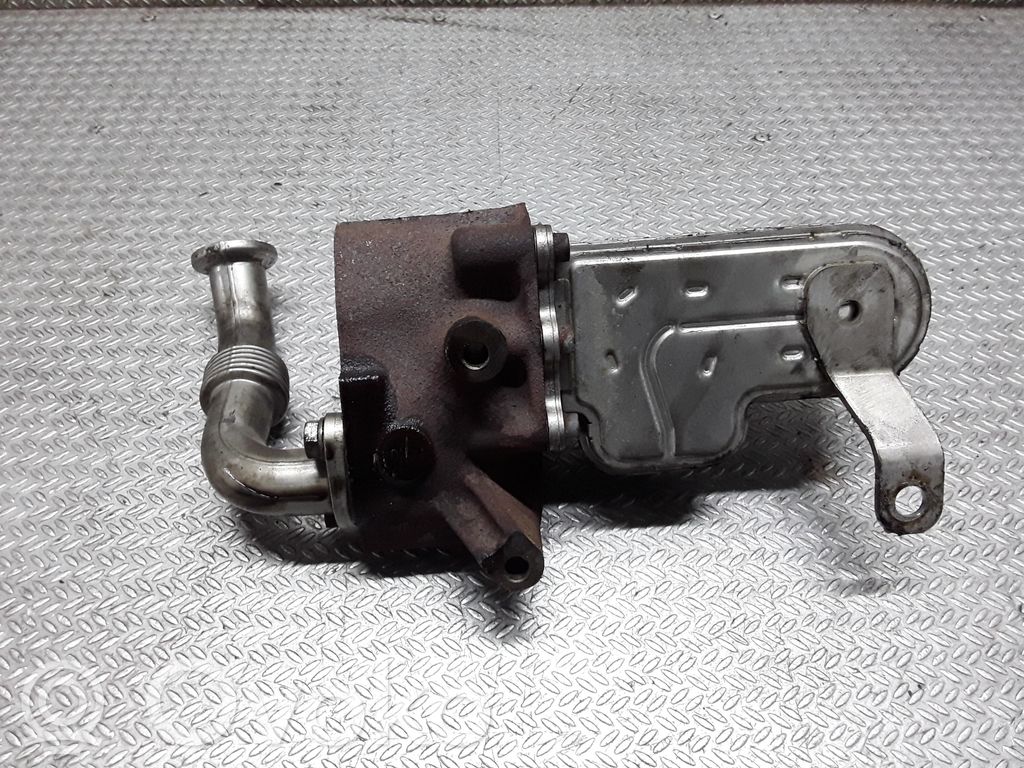 EGR aušintuvas   41212036F