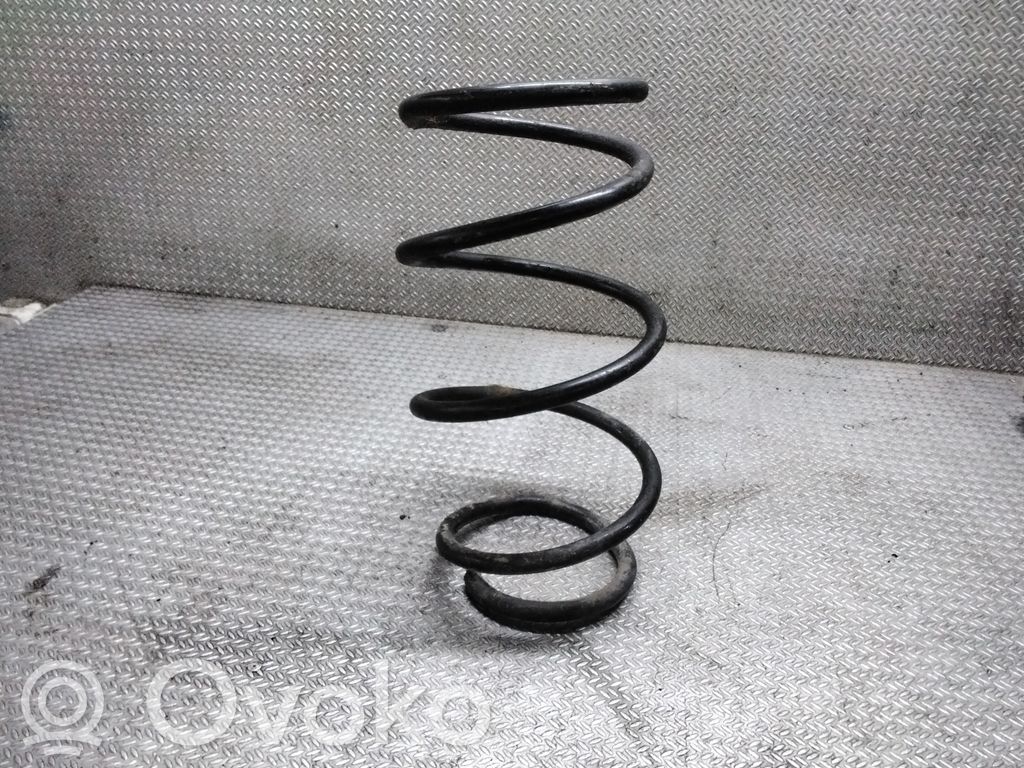 Front coil spring