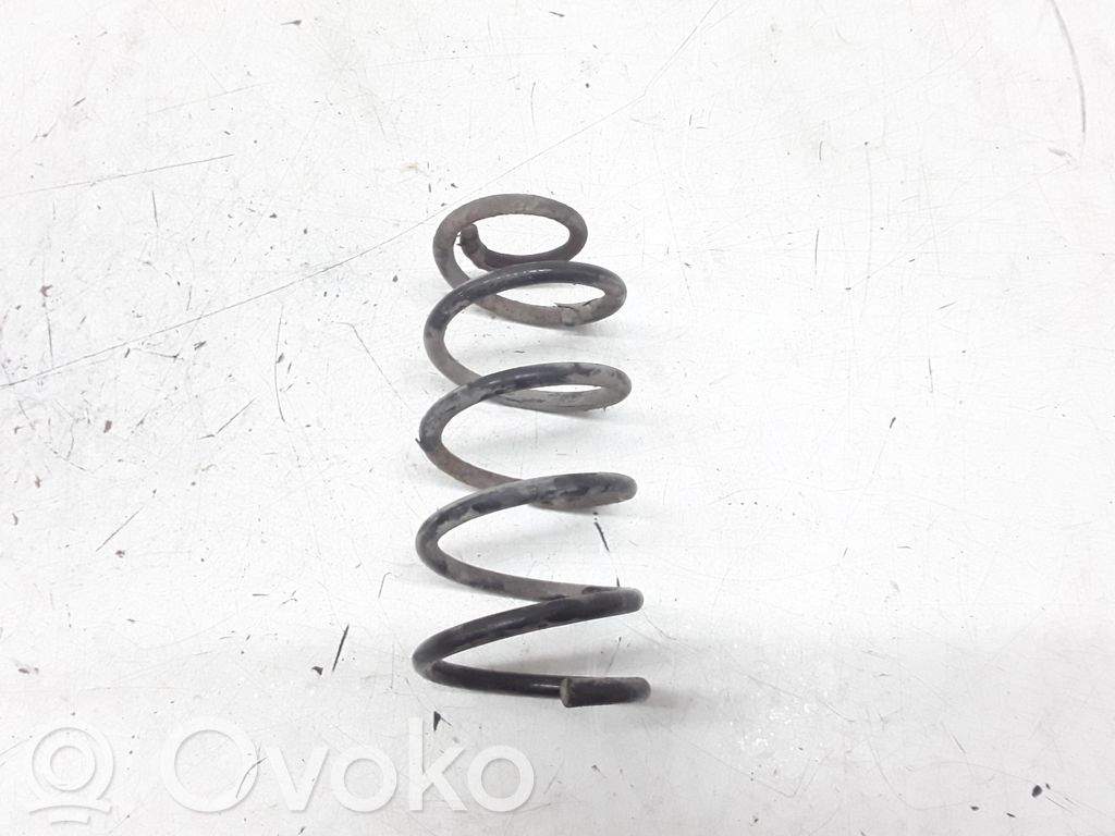Muelle espiral trasero