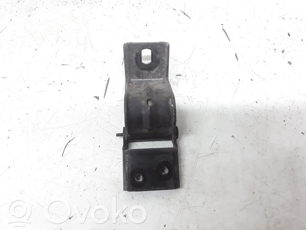 Tailgate/trunk/boot hinge