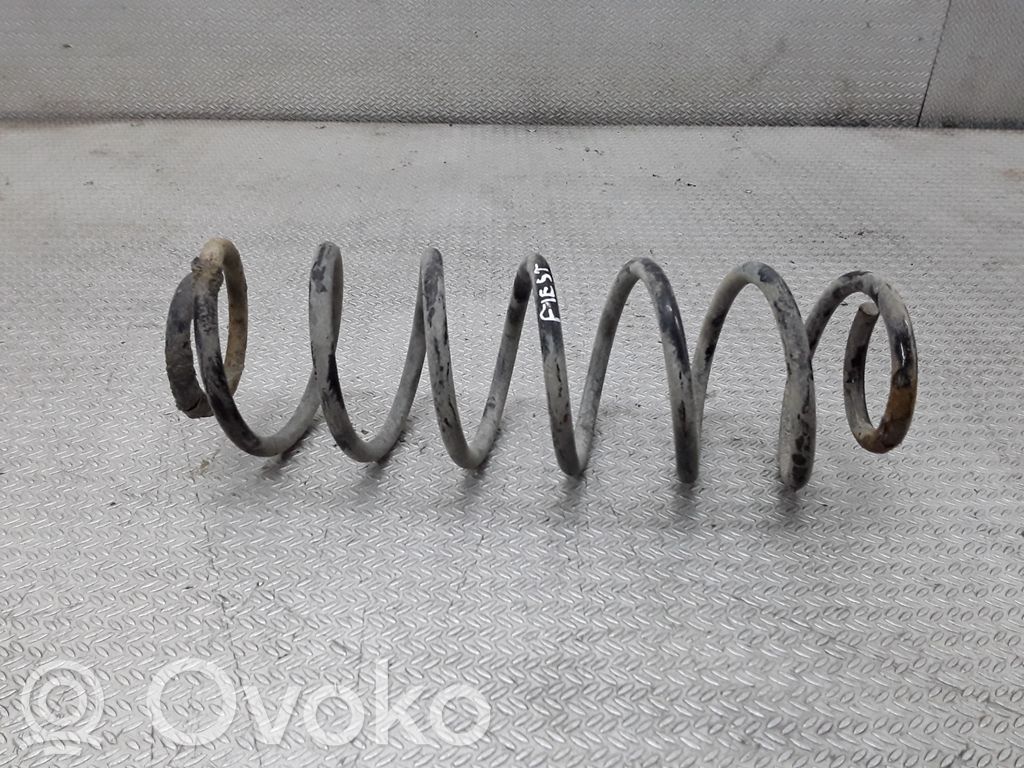 Rear coil spring