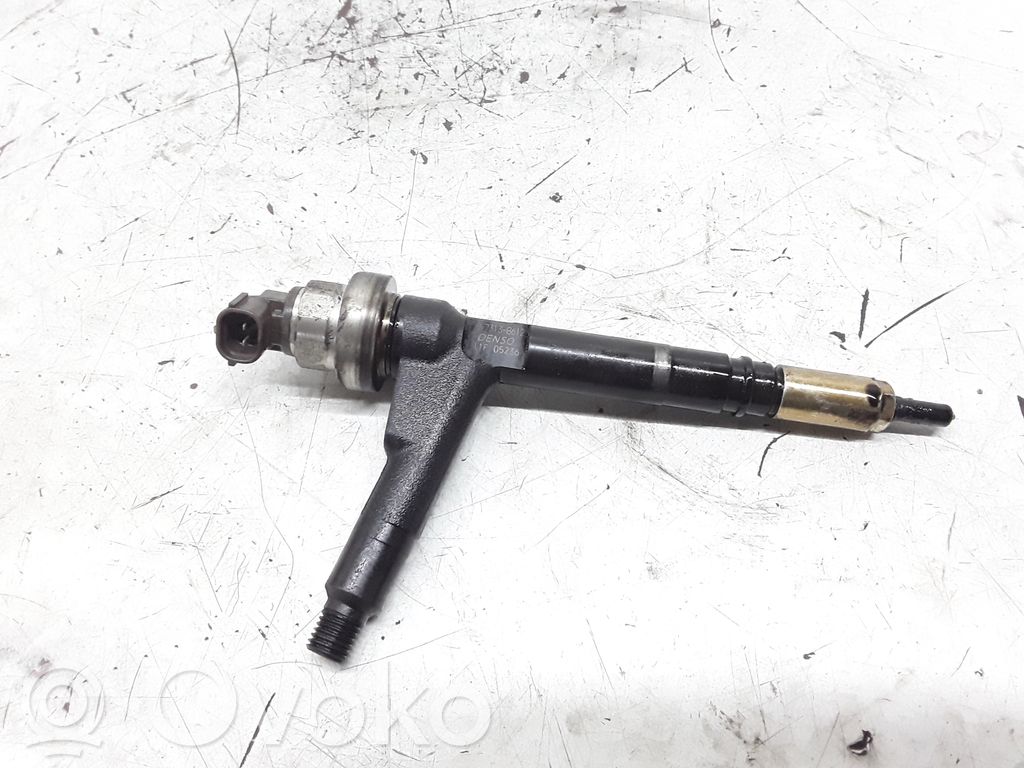 Injector combustibil   8973138612