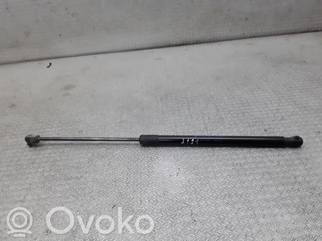 Ford Fiesta Tailgate/trunk strut/damper 