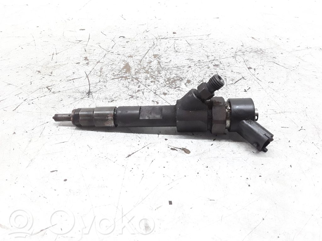 Injektor Einspritzdüse   0445110021,7700111014