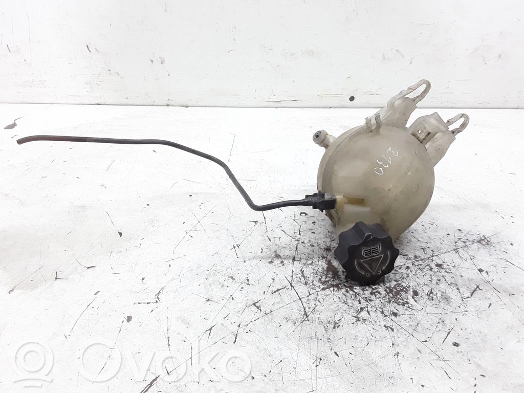 Peugeot 207 Serbatoio di compensazione del liquido refrigerante/vaschetta