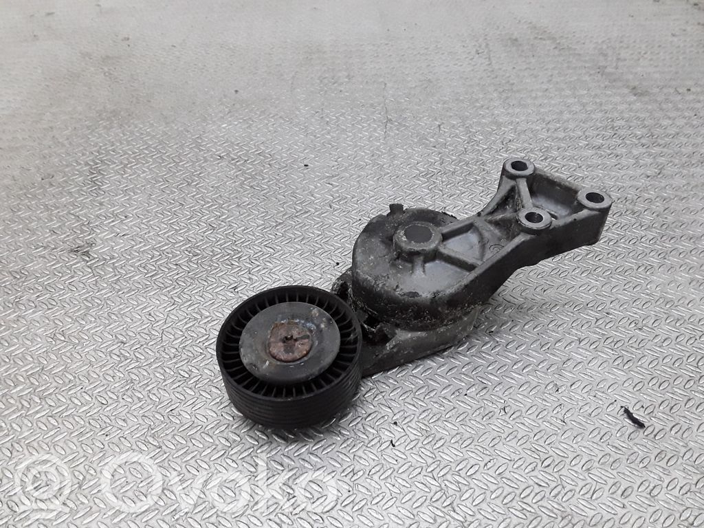 Napinacz paska alternatora   950372
