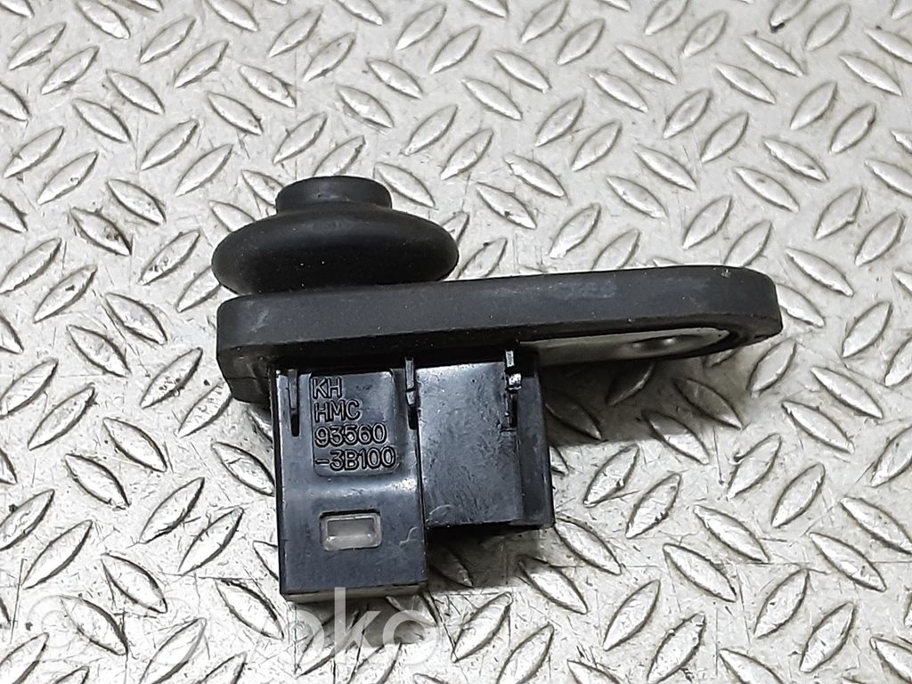 Hyundai Terracan Rear door sensor 