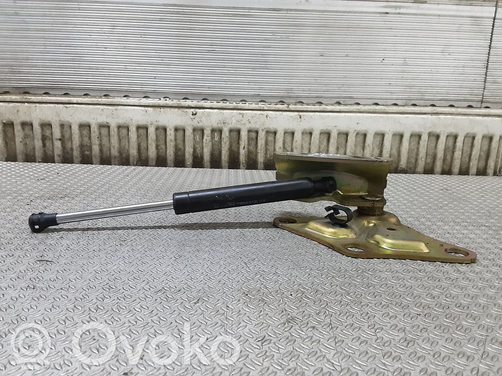 Citroen C3 Pluriel Jumta eņģe (-es) 