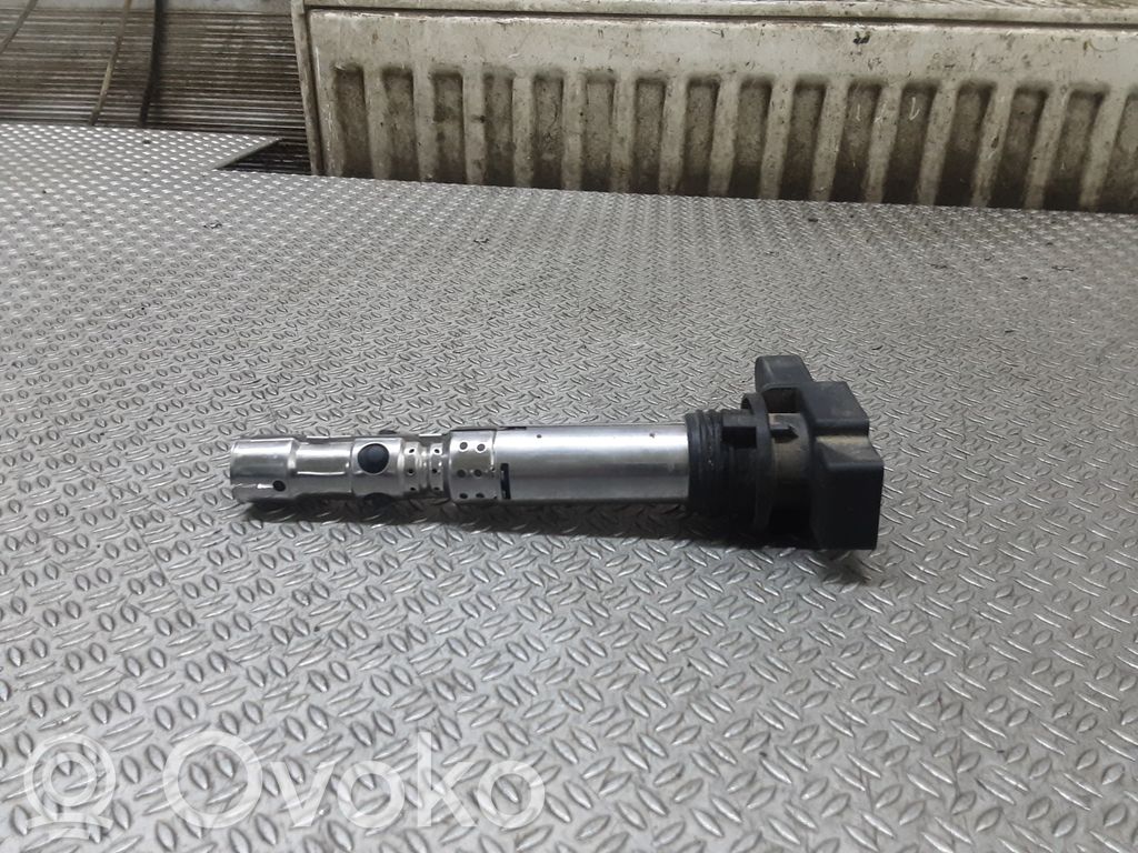 Aukštos įtampos ritė "babyna"   03D905715A