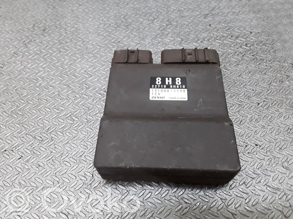 Unidad de control/módulo de la inyección de combustible   227108H810,1310001190