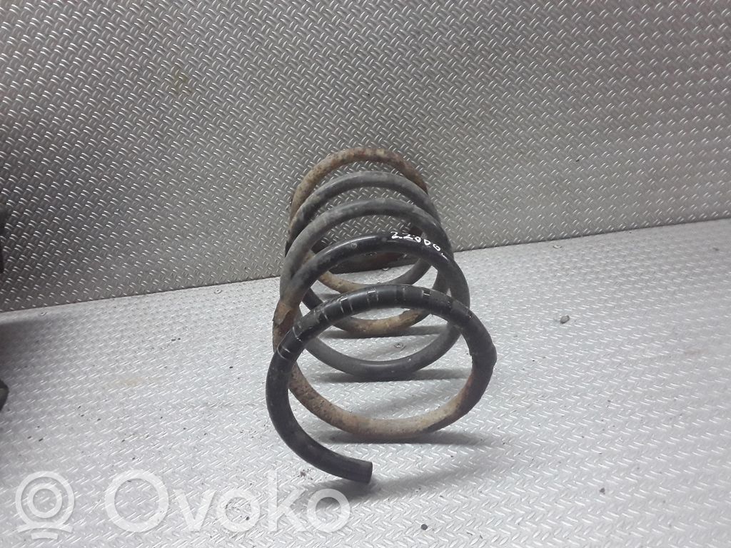 Rear coil spring