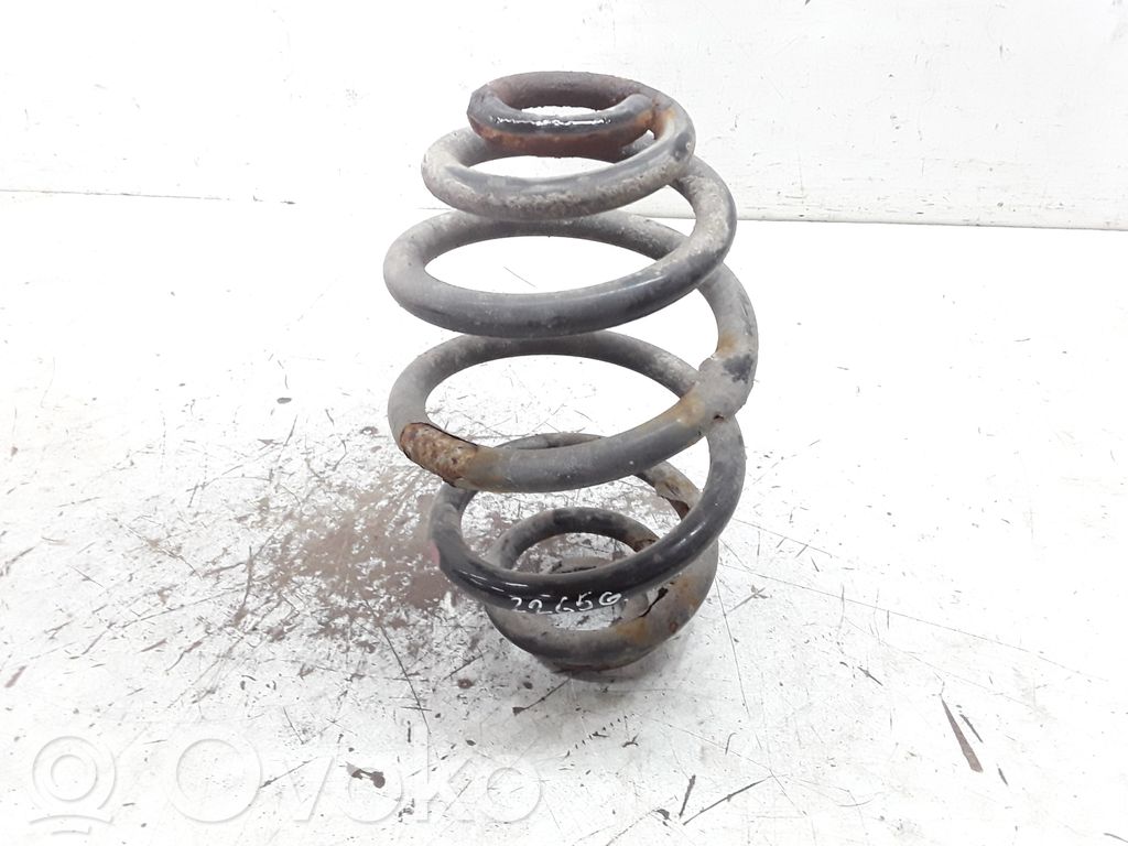 Rear coil spring