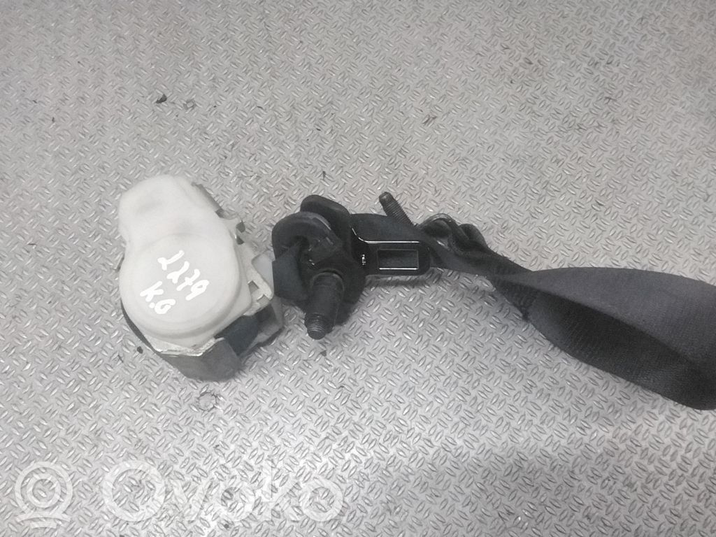 Cinturón trasero   09185497N