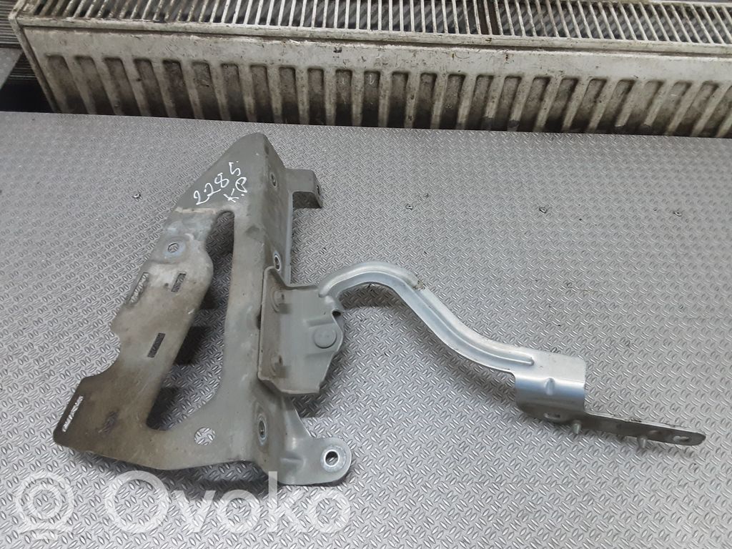 Renault Modus Dzinēja pārsega eņģe (-es) 