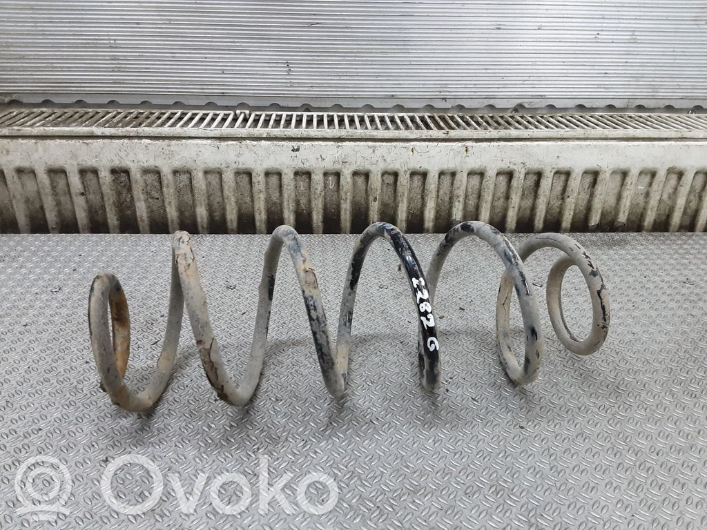 Rear coil spring