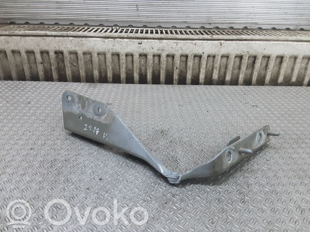 Engine bonnet/hood hinges