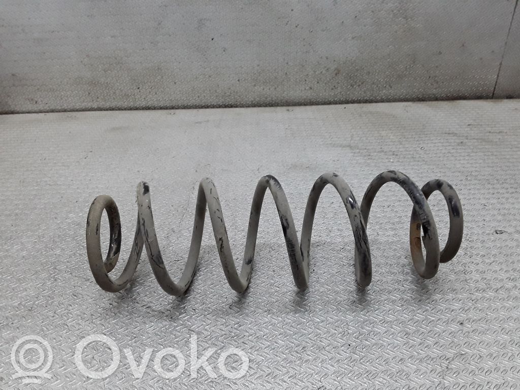Rear coil spring