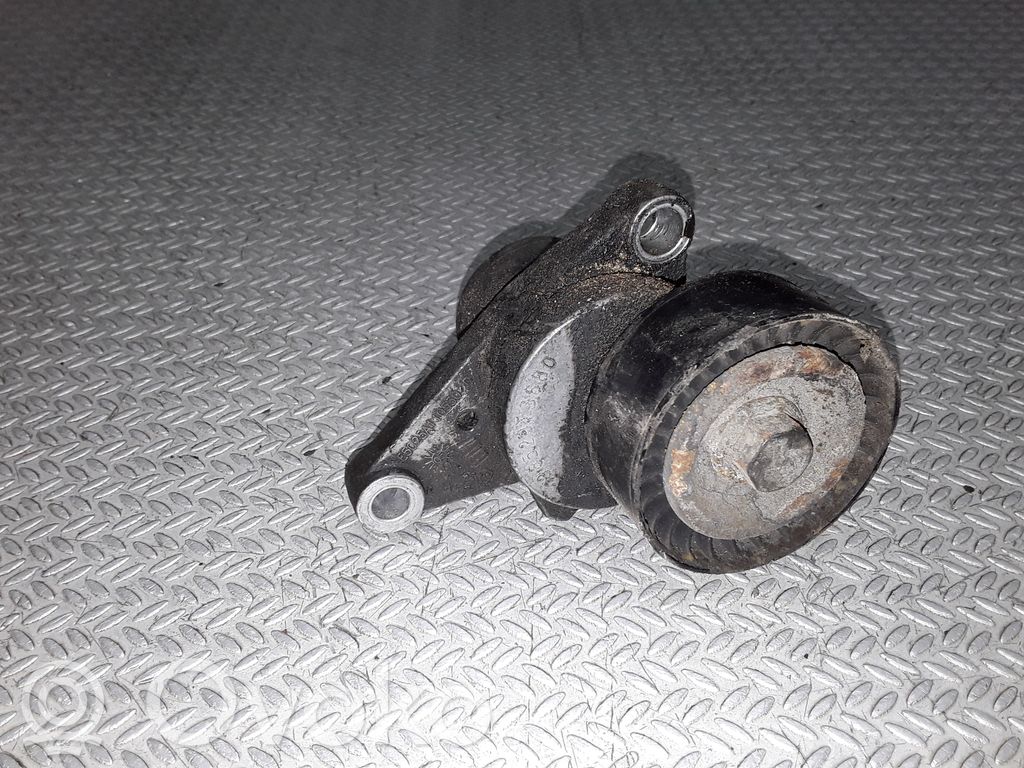 Citroen C2 Diržo įtempėjas 