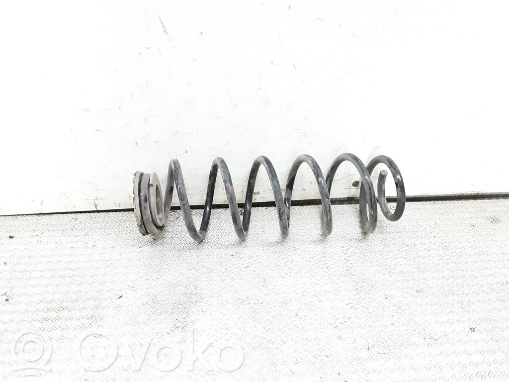 Rear coil spring