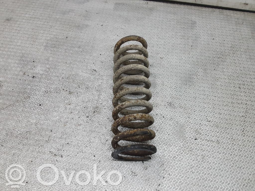 Rear coil spring