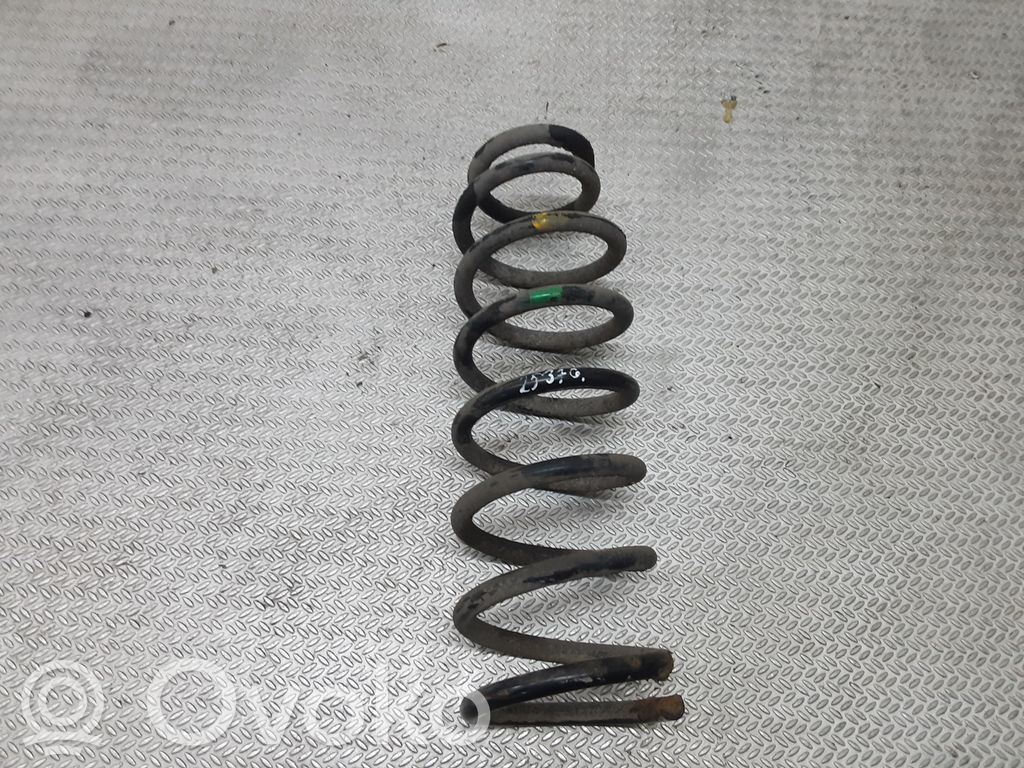 Rear coil spring