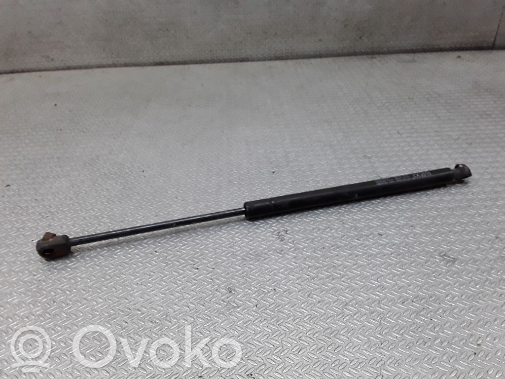 Tailgate/trunk strut/damper
