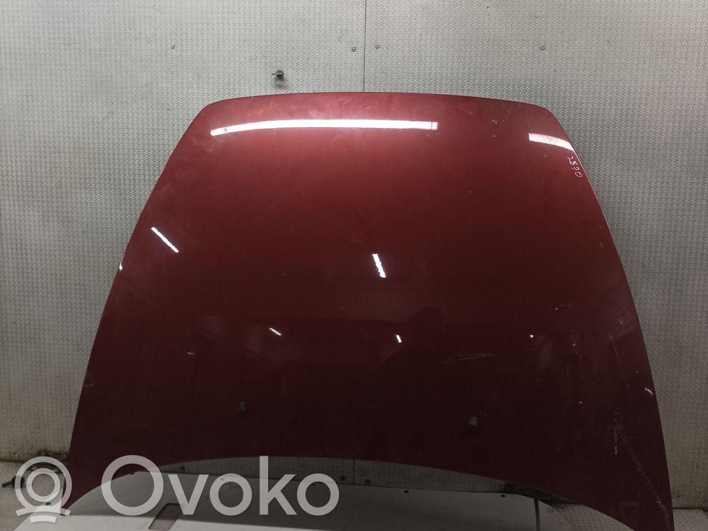 Engine bonnet/hood