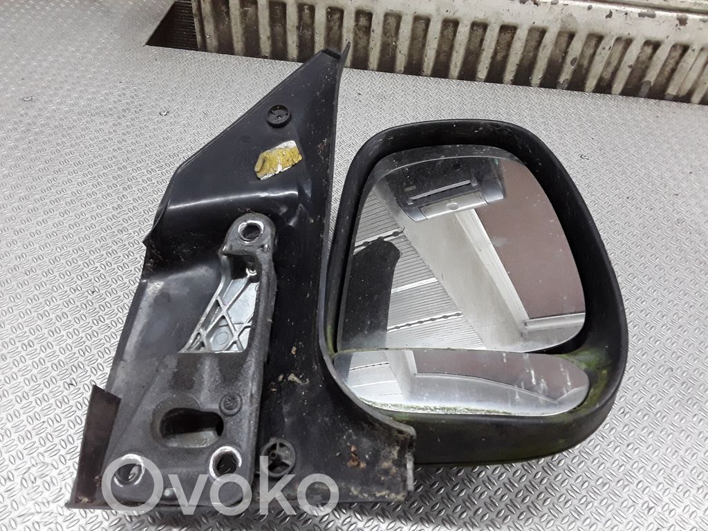 Manual wing mirror   E1010387