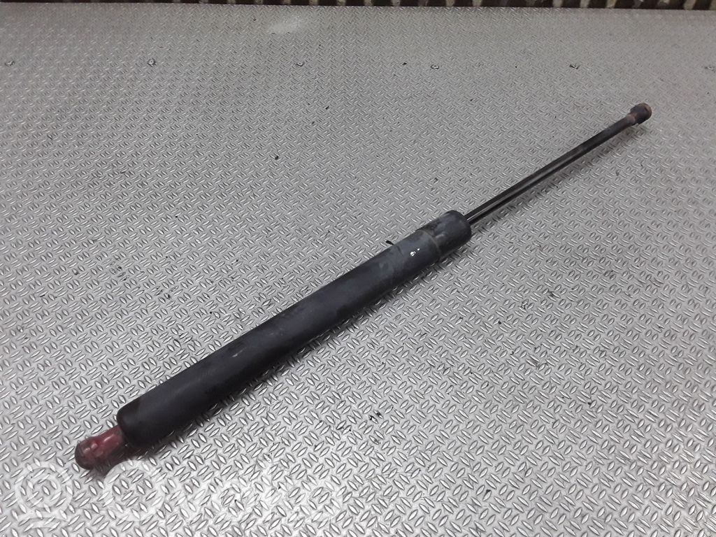 Tailgate/trunk strut/damper