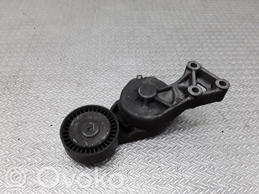 Volkswagen Transporter - Caravelle T5 Întinzător curea generator/alternator 