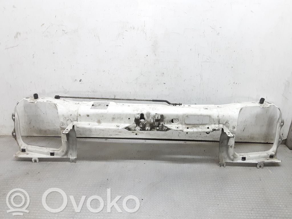 Radiatoru panelis