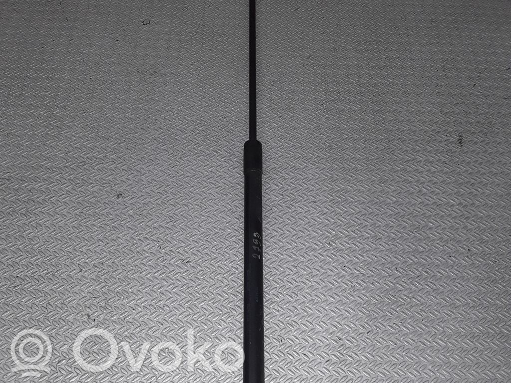 Tailgate/trunk strut/damper   13182309