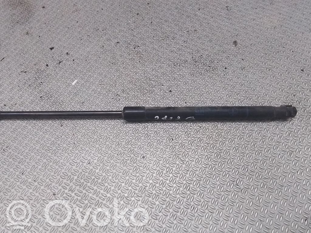 Opel Astra H Tailgate/trunk strut/damper 