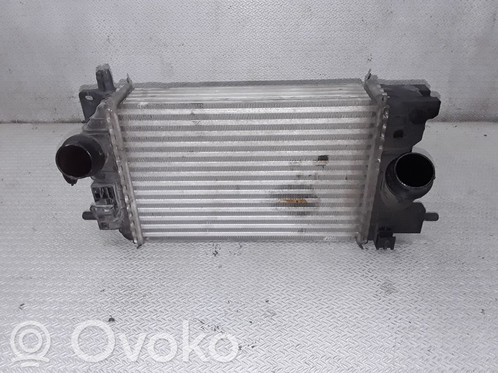 Intercooler radiator   560961104,R3445005