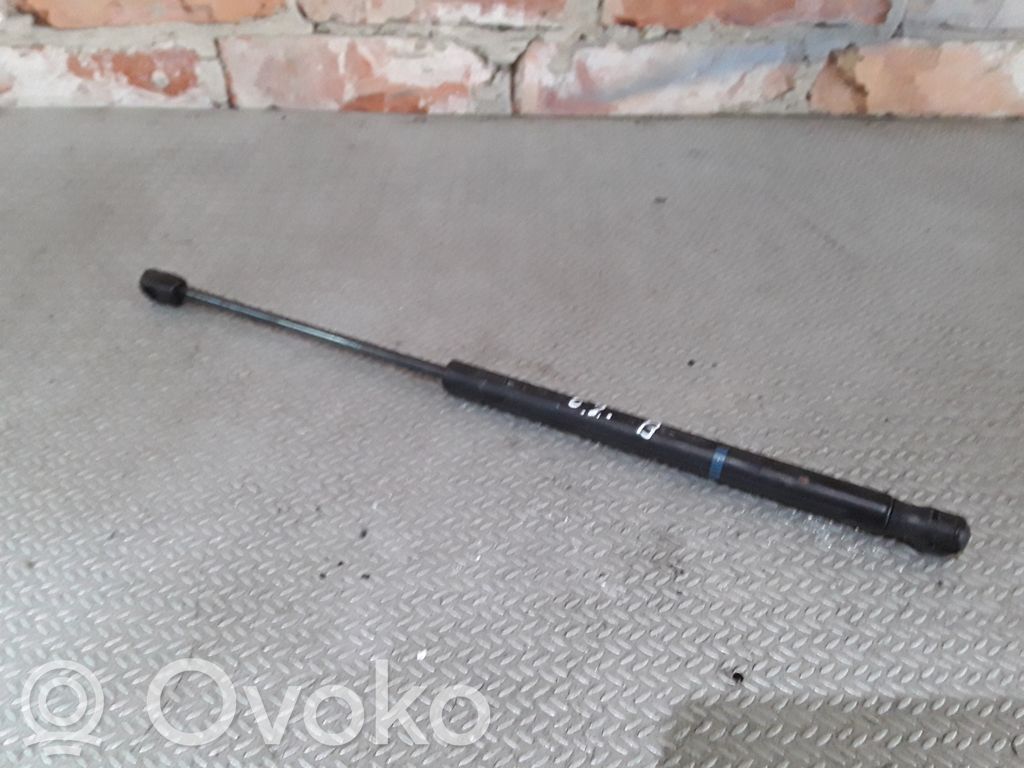 Tailgate/trunk strut/damper   9641721980
