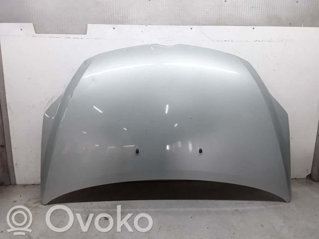 Engine bonnet/hood