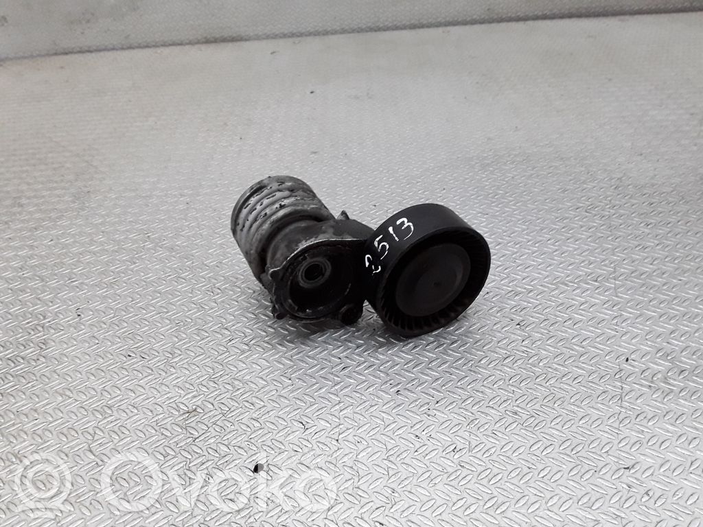 Skoda Fabia Mk2 (5J) Întinzător curea generator/alternator 