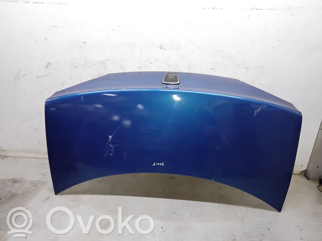 Tailgate/trunk/boot lid