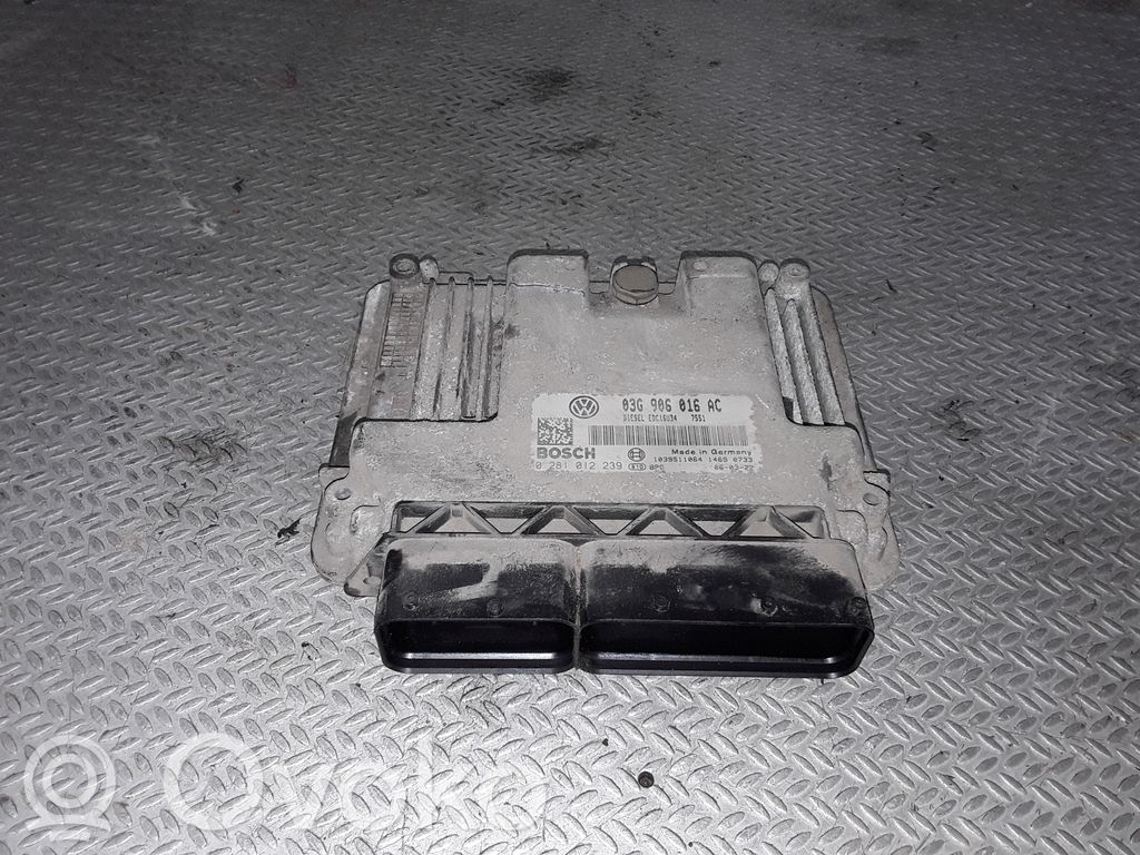 Volkswagen Jetta V Engine control unit/module 