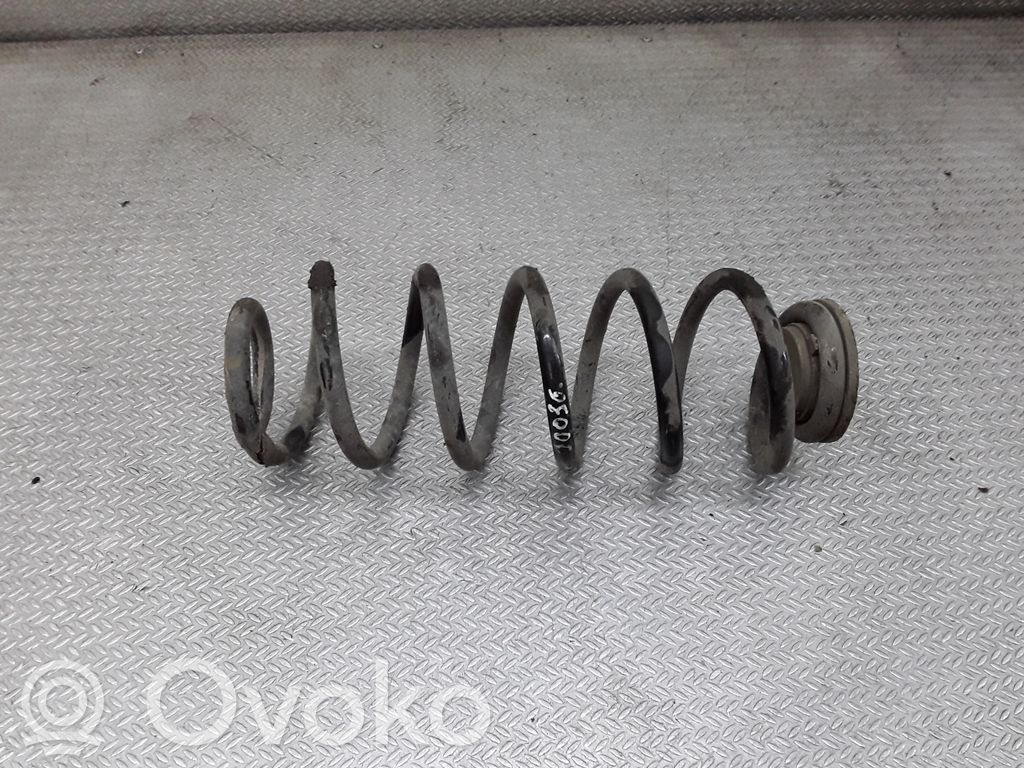 Rear coil spring