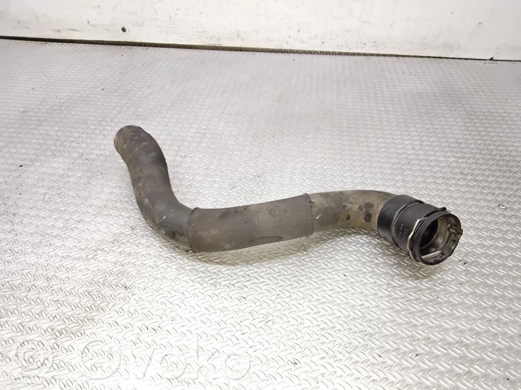Engine coolant pipe/hose   565563897,13353318