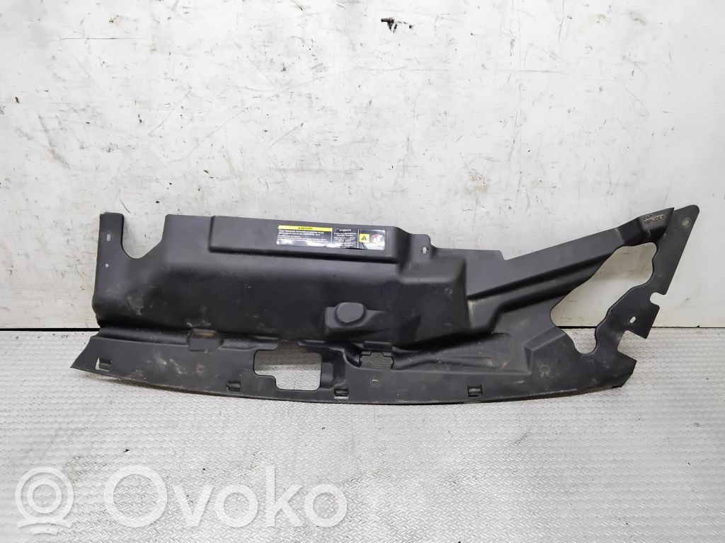 Engine bonnet/hood lock trim molding   52029057AD