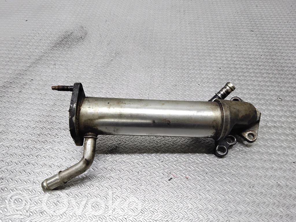 Ford Transit EGR aušintuvas 