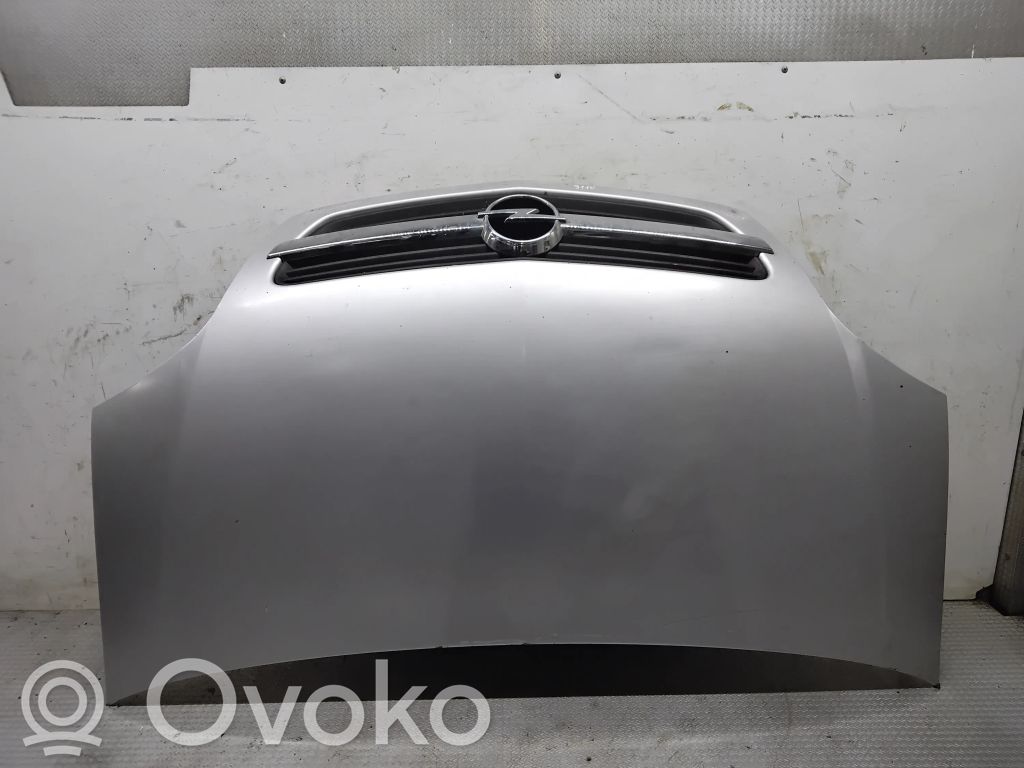 Engine bonnet/hood